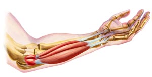 Golfer's Elbow Injury Treatment