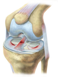 Knee Injury Treatment