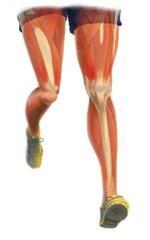 Leg Injury Treatment